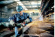 Угловая шлифмашина (болгарка) Metabo WE 17-125 Quick (600515000)