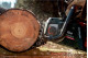 Аккумуляторная цепная пила Metabo MS 36-18 LTX BL 40 (601613850)