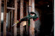 Акумуляторна шабельна пила Metabo SSEP 18 LT BL (601617850)