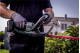 Аккумуляторный кусторез Metabo HS 18 LTX 55 (601718500)