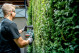 Аккумуляторный кусторез Metabo HS 18 LTX BL 75 (601724850)