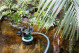 Комбінований занурювальний насос Metabo TPS 16000 S Combi (0251600000)