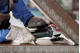 Угловая шлифмашина (болгарка) с плоским корпусом редуктора Metabo WEF 9-125 Quick (613060000)