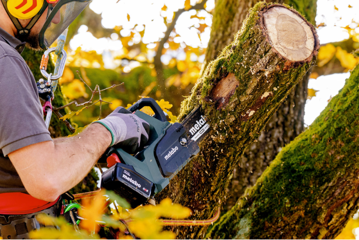 Аккумуляторная цепная пила Metabo MS 18 LTX BL 25 (601595850)